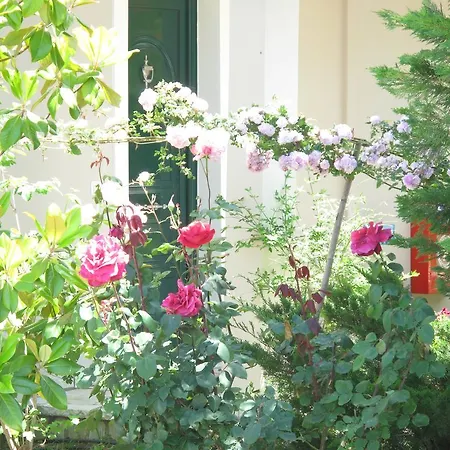 Liogerma Lejlighed Tsoukaládhes